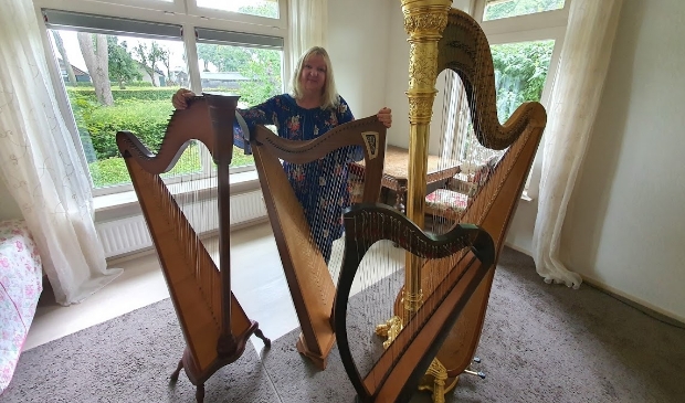 Regina Ederveen onder meer harples voor beginners en gevorderden.