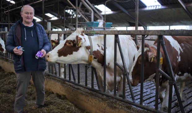 Van blikscherven gaan koeien dood.