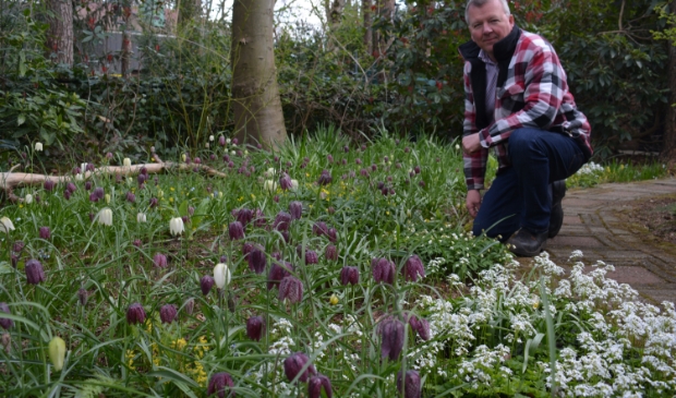 <p> De schaduwtuin van Jeroen Jansen in Wezep. </p>