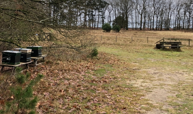 <p>Bewoners willen de natuur op landgoed Stakenberg niet zien aangetast.</p>
