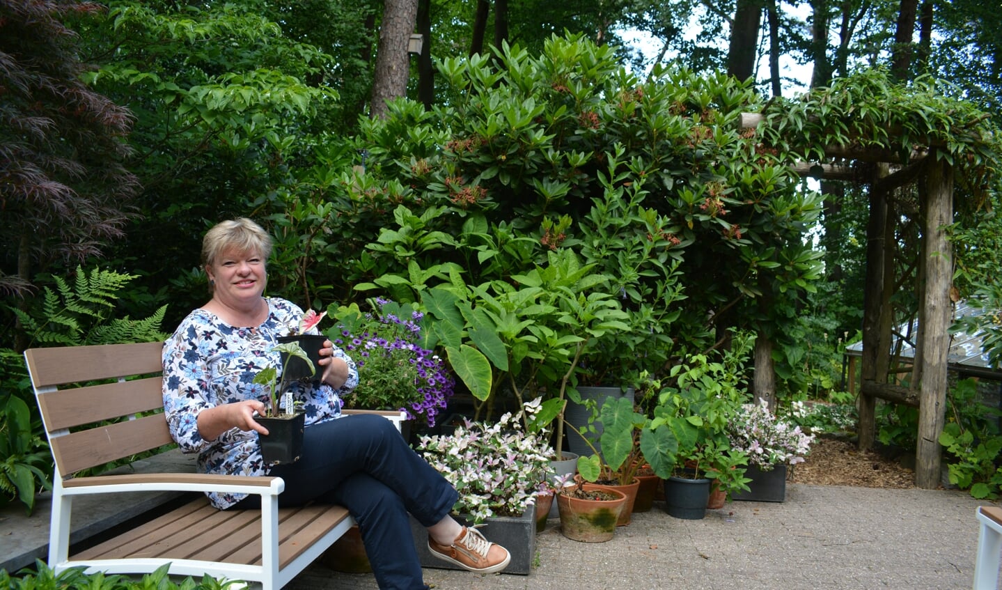 Lidy van het Hul in de schaduwtuin in Wezep.