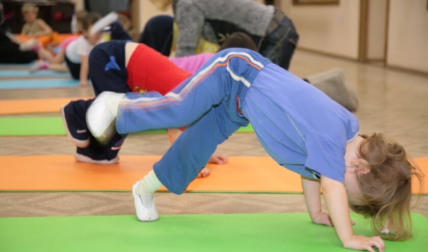 <p>• DSS organiseert een sportief evenement voor de jeugd. </p>