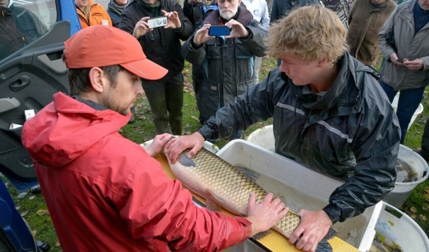 Foto: Paul van den Dungen