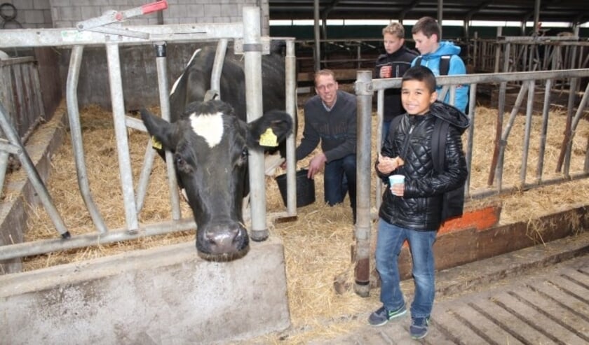 Foto: Lysette Verwegen