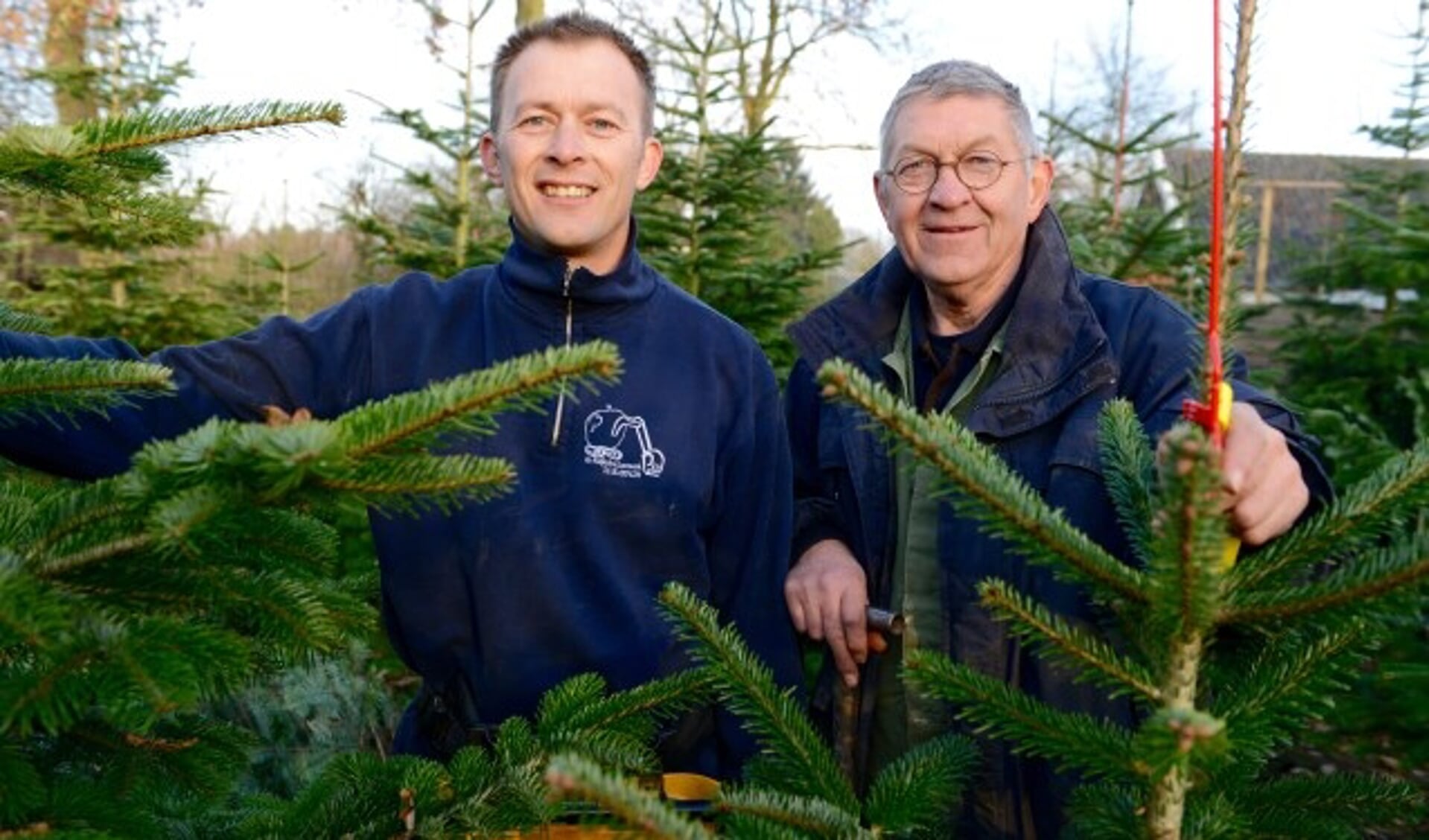 bedriegen stikstof nauwkeurig Kerstbomen op Betuwse grond | Al het nieuws uit Tiel