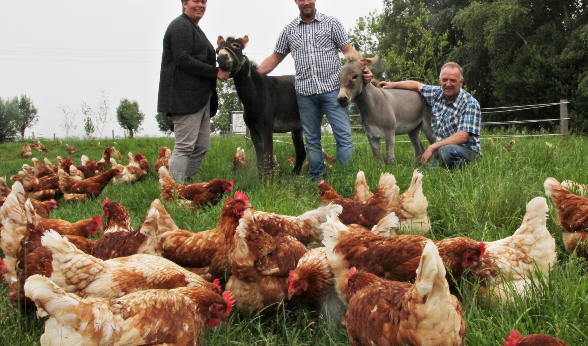 • De familie Snoek in betere tijden, toen de kippen nog gewoon buiten rondscharrelden. (archieffoto: Robert van der Hek)