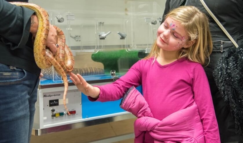 Bij een 'vrouwelijke Freek Vonk' konden bezoekers reptielen aaien. (Foto: PR)