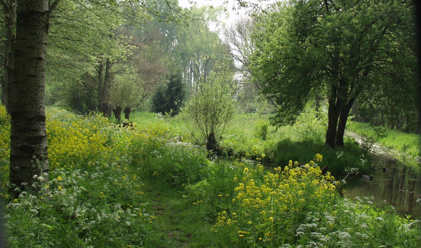 • Alblasserbos.