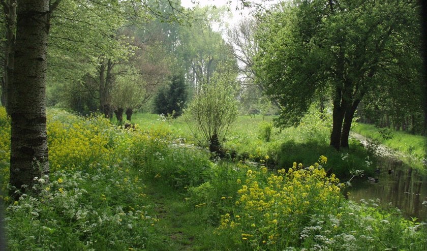 • Alblasserbos.