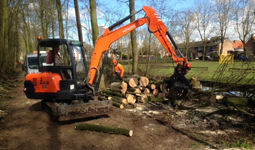 • Er is de afgelopen periode volop gewerkt in het 'Haastrechtse Bos'.