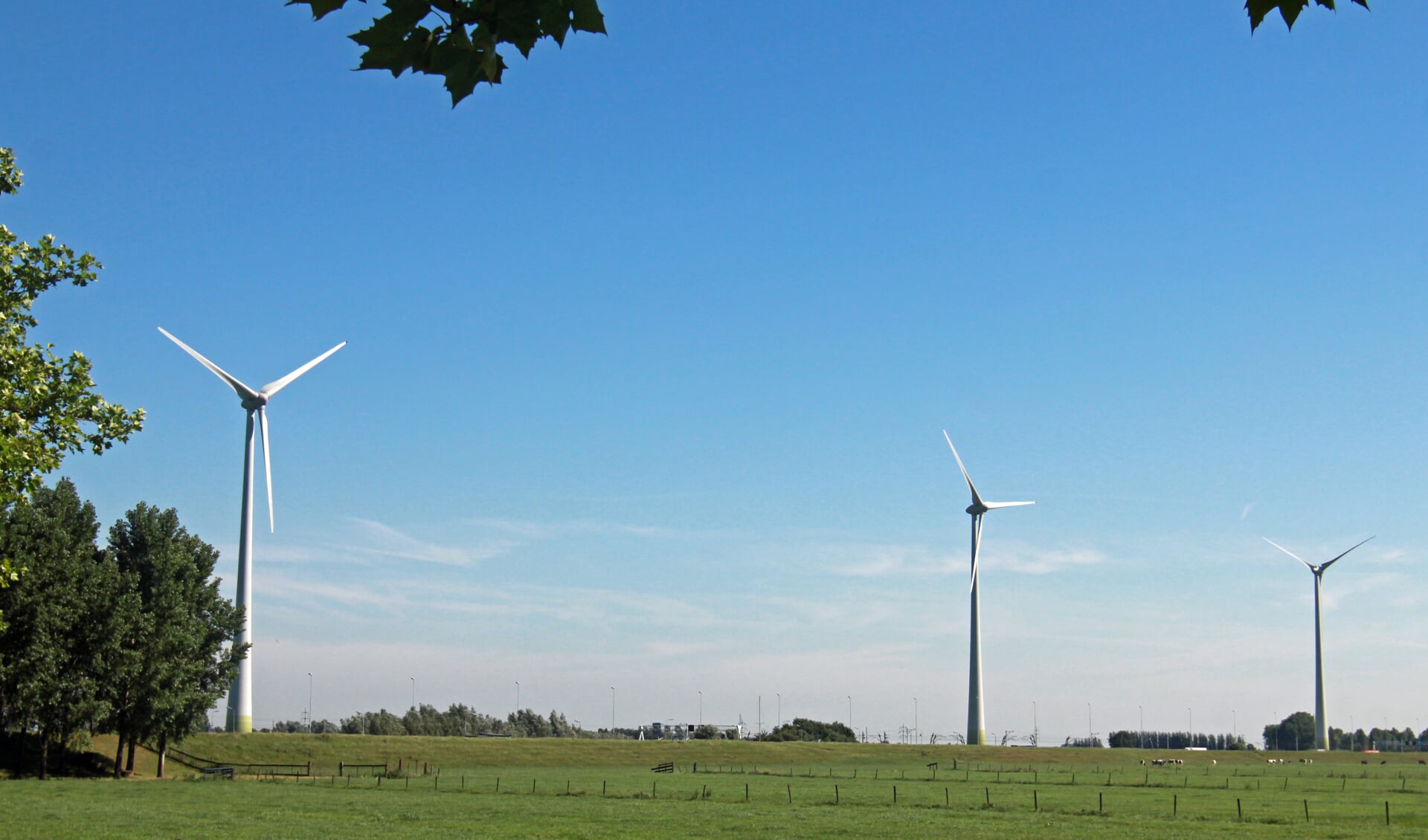 • De drie windmolens bij Giessenburg. De komende jaren komen er maximaal tien bij.
