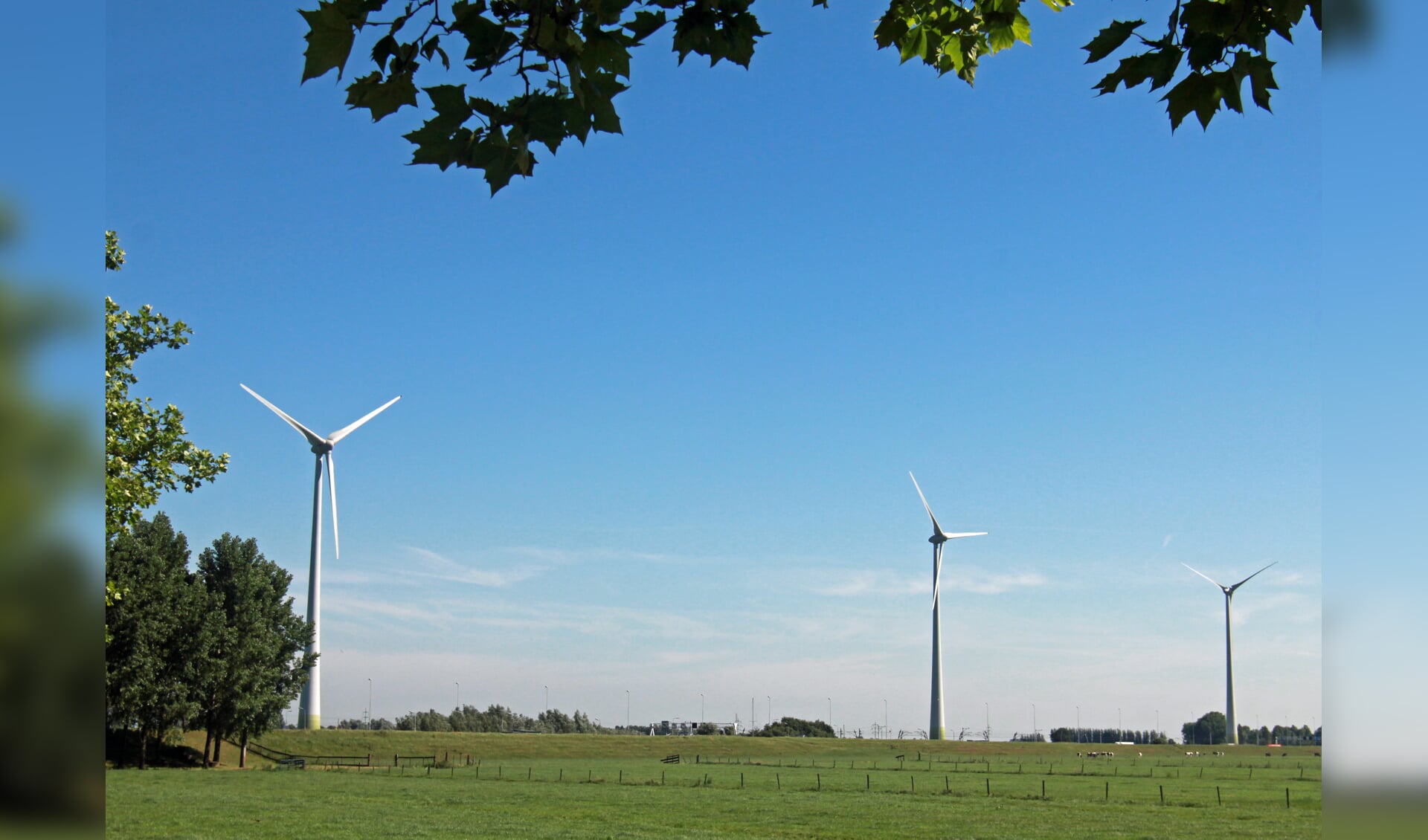 • Als het aan de VVD ligt komen er in Molenlanden voorlopig geen windturbines bij.