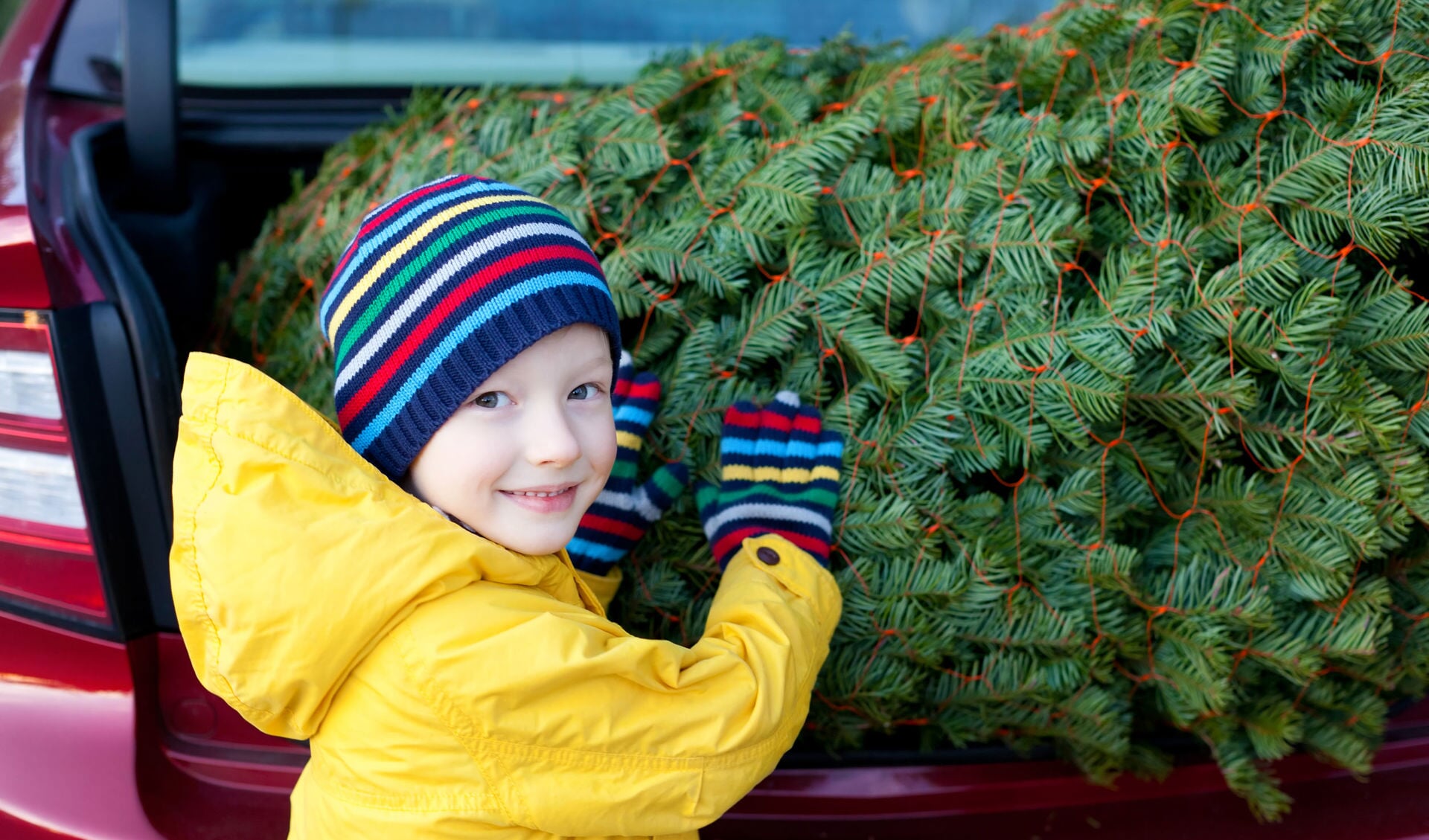 Kerstboom inleveren in Krimpen aan den IJssel kan op woensdag 5 januari.