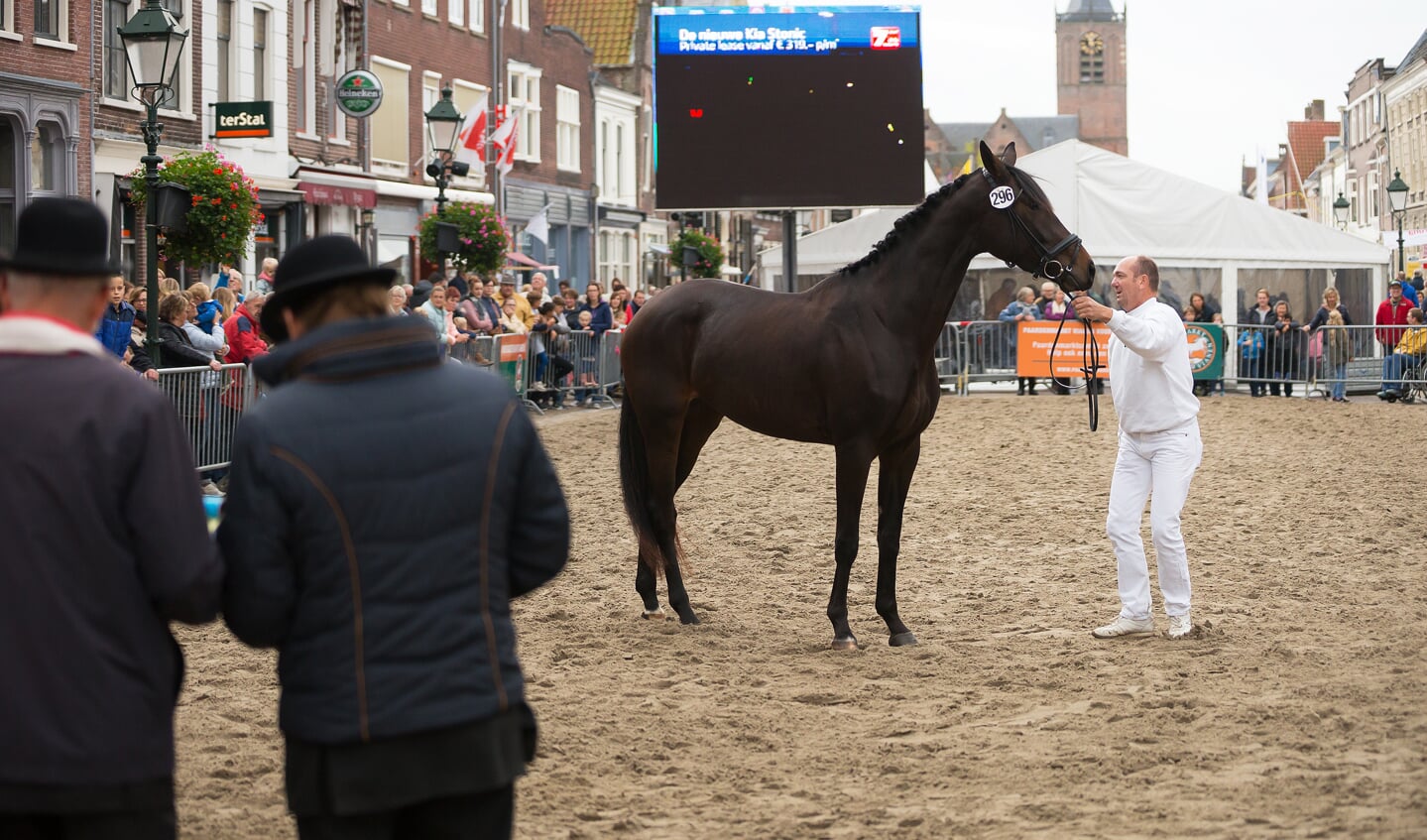 Paardenmarkt Vianen 2017