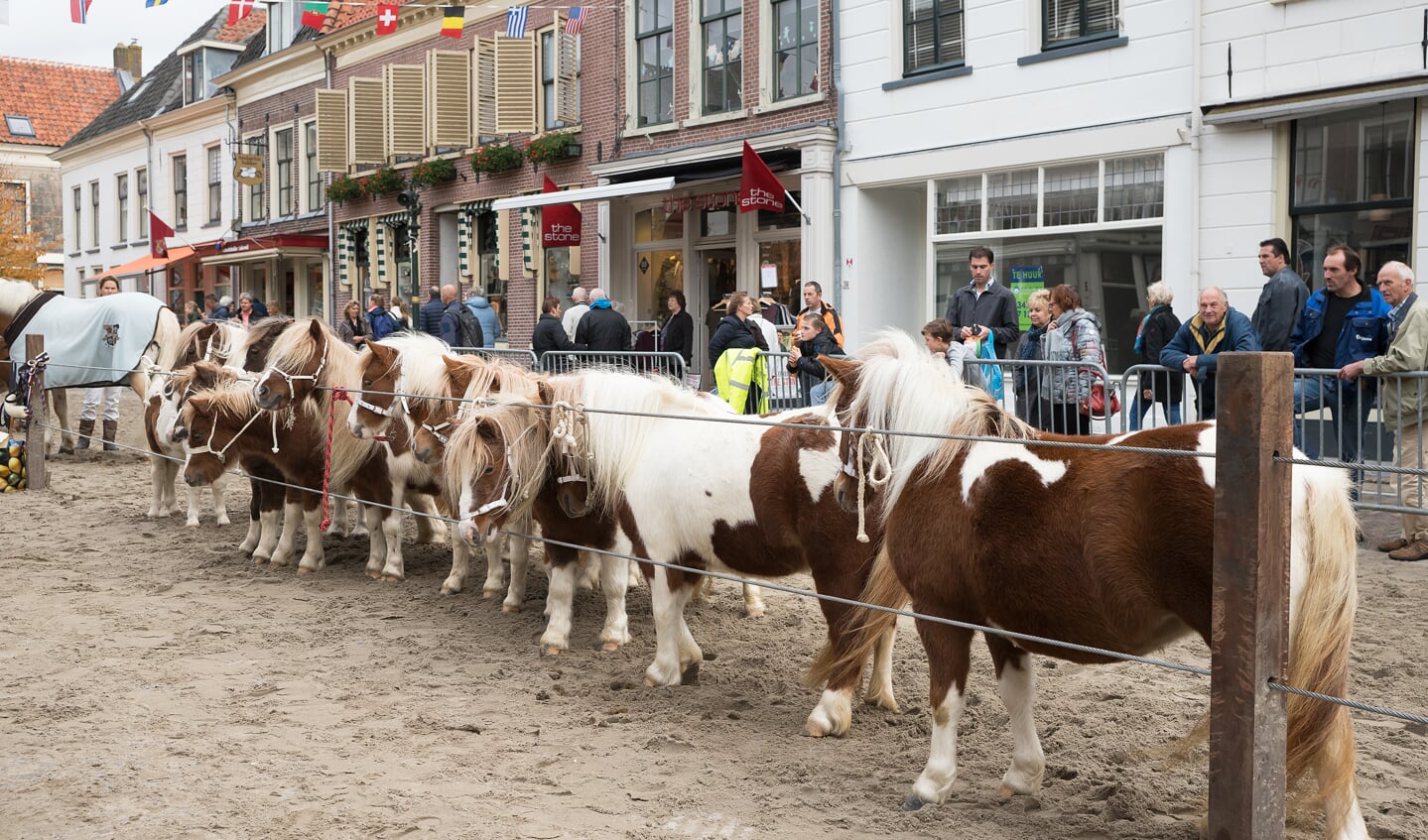 Paardenmarkt Vianen 2017