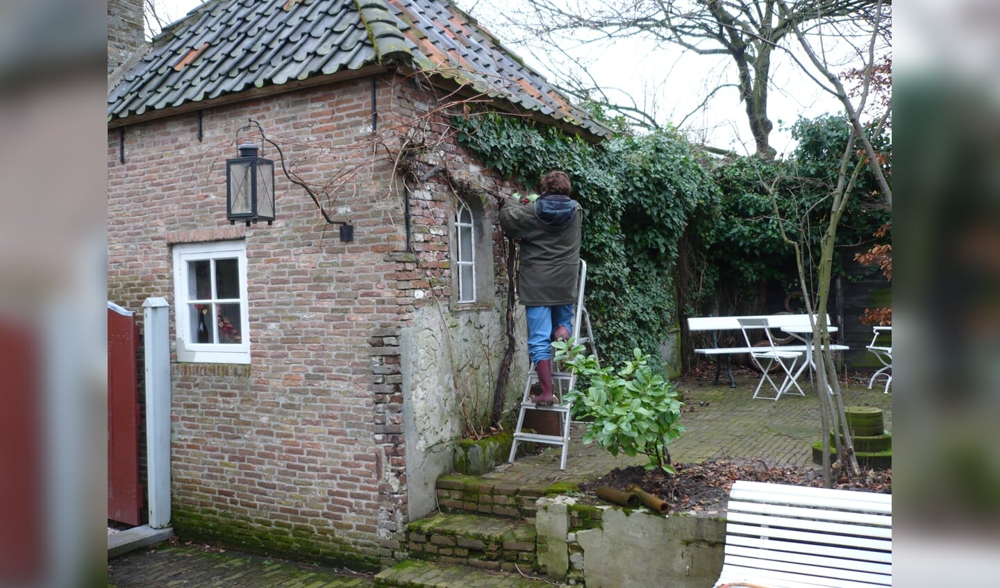 • Het theehuis van de Koperen Knop.