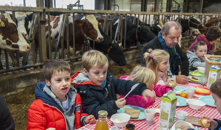 • Kinderen eten een broodje tussen de koeien. Ook Willem Schoof van de VGBK was aanwezig.