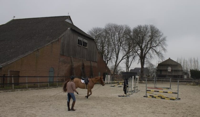 Links de voormalige oven, op de achtergrond de bazenwoning. De paarden zijn nu ook al de bewoners van het terrein, maar hun stallen krijgen een andere plek. (Foto: Richard Avontuur)  