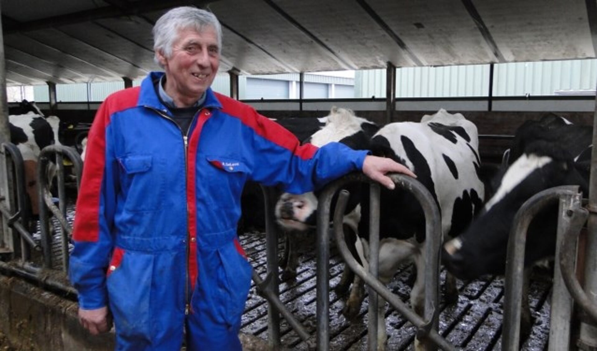 Duurzame boer Cor Cromwijk bij zijn koeien. (Foto: Margreet Nagtegaal)