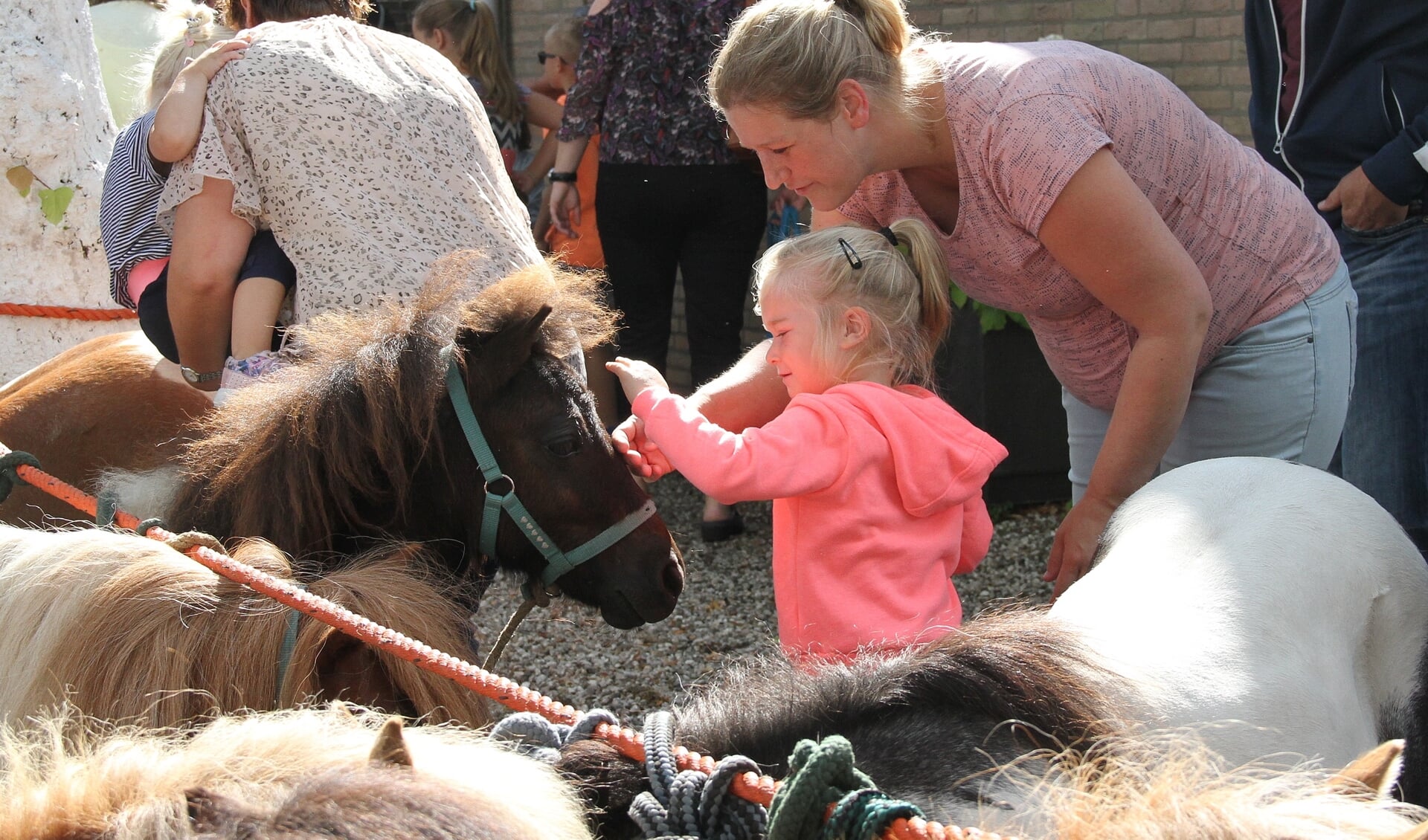 • Pony's en paarden zijn onlosmakelijk verbonden met de jaarlijkse markt in Alblasserdam.