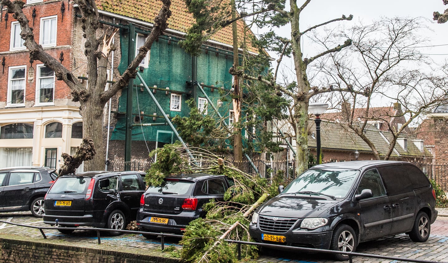 De zware westerstorm van donderdagochtend heeft ook in Schoonhoven forse schade toegebracht door omgewaaide bomen op geparkeerde auto's.