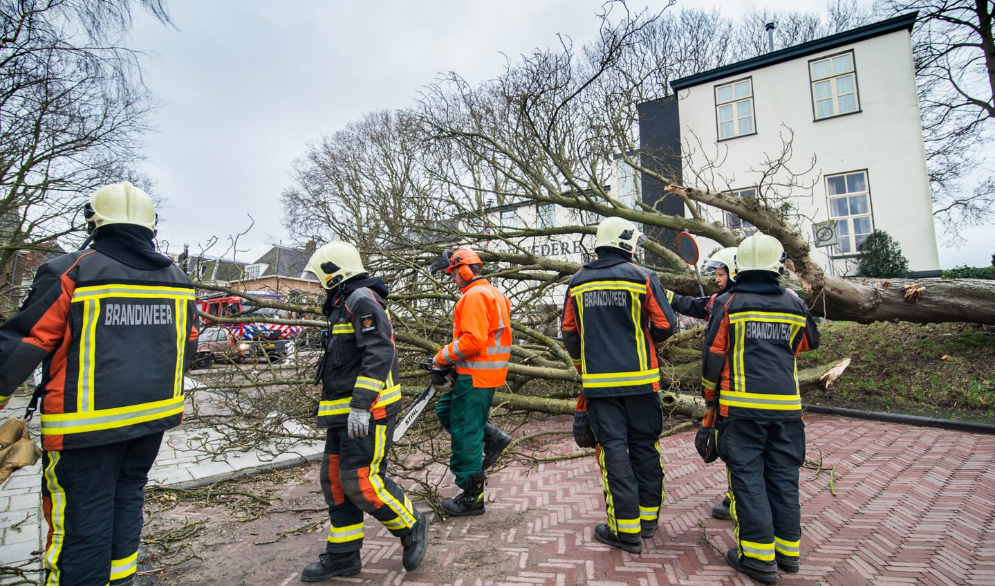 De zware westerstorm van donderdagochtend heeft ook in Schoonhoven forse schade toegebracht door omgewaaide bomen.
