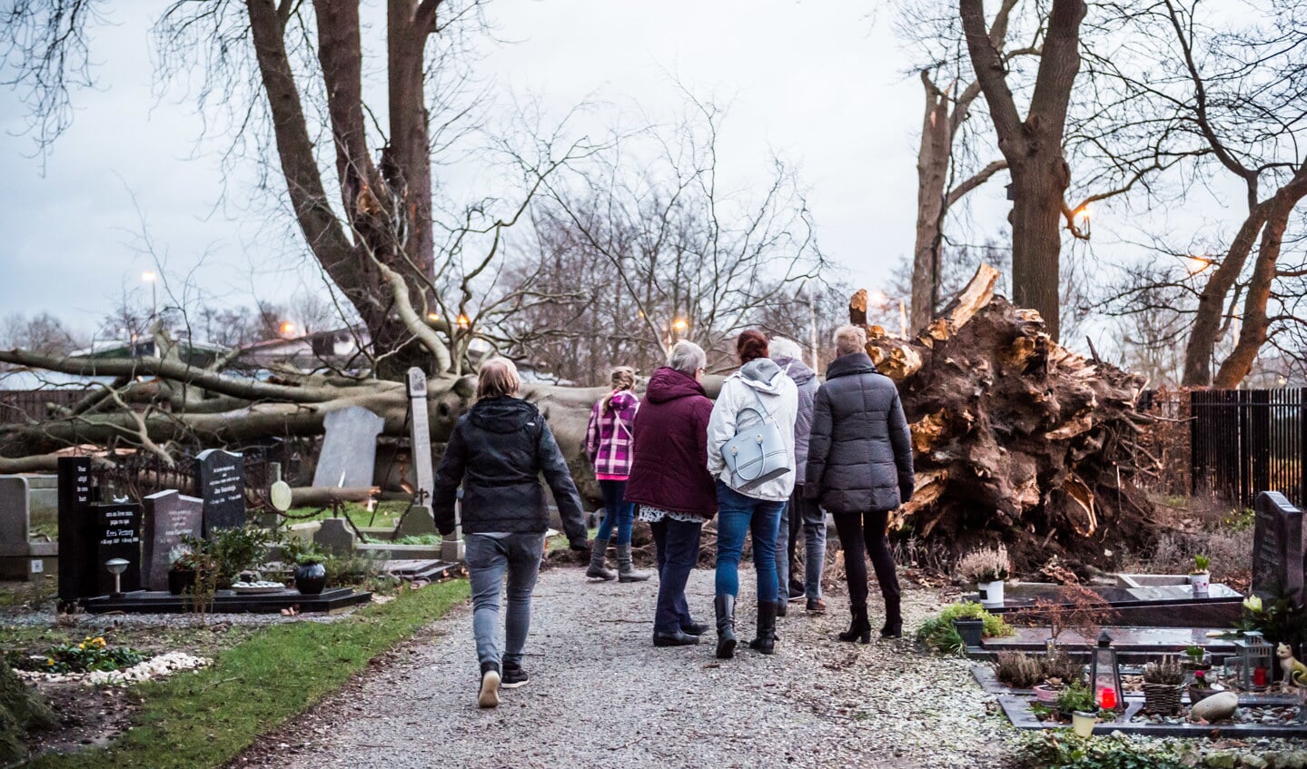 • Op de algemene begraafplaats in Schoonhoven is een grote boom omver gewaaid en heeft verschillende grafzerken beschadigd.