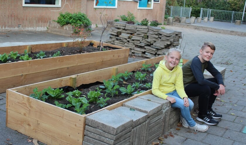 • Natuurplein van basisschool Het Schateiland in Lekkerkerk.