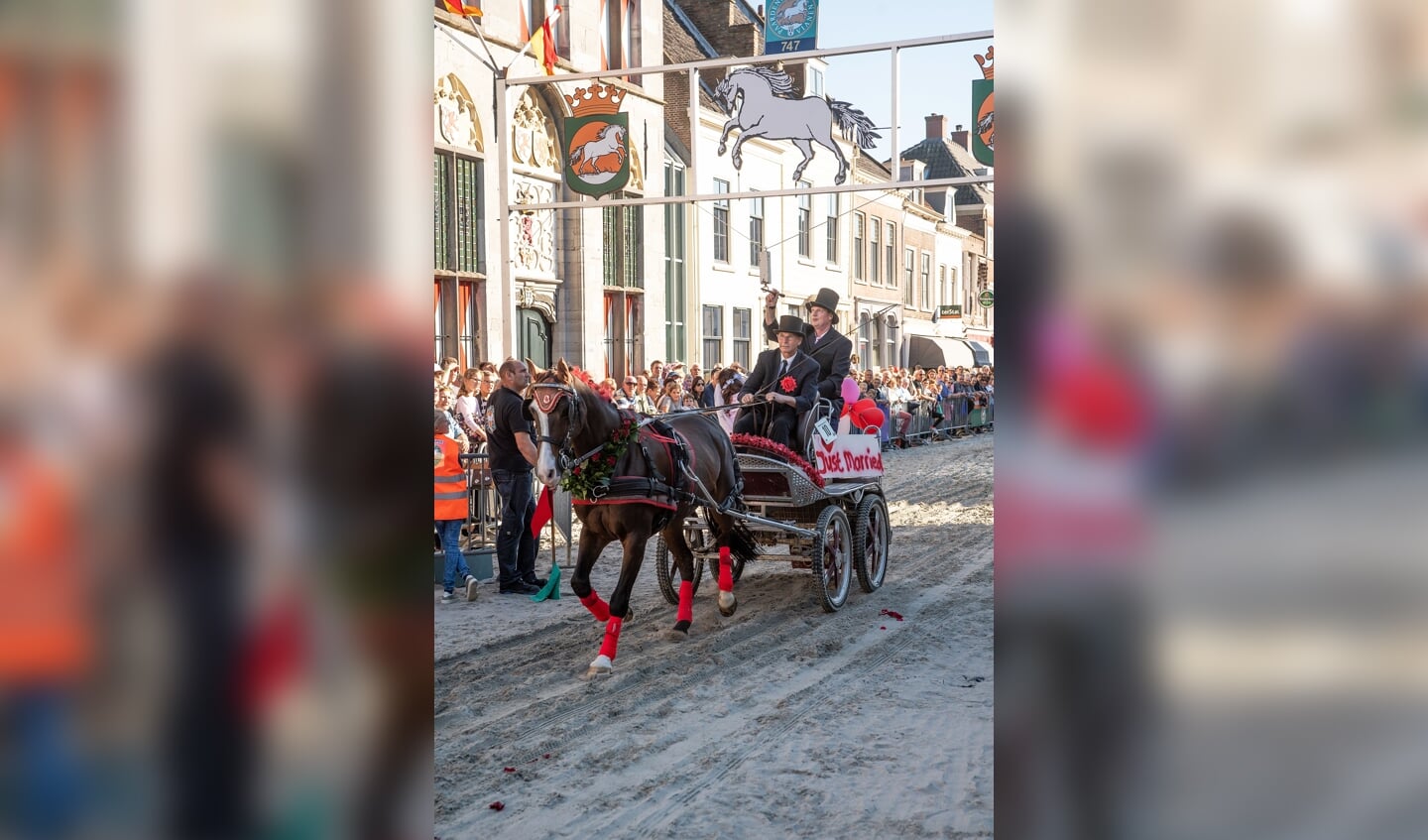 Paardenmarkt Vianen ringsteken