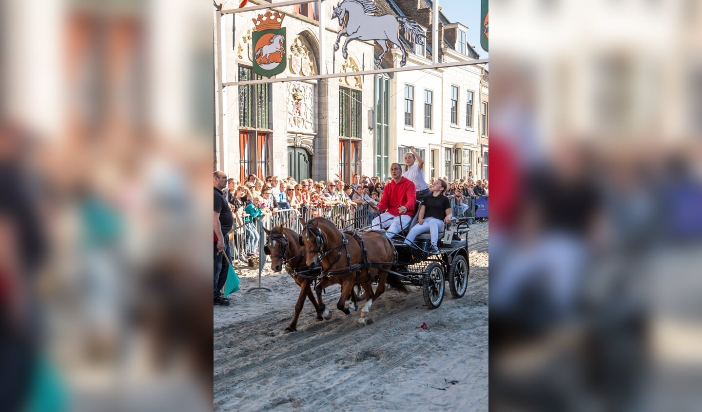 Paardenmarkt Vianen ringsteken