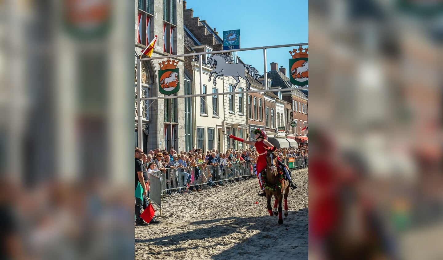 Paardenmarkt Vianen ringsteken