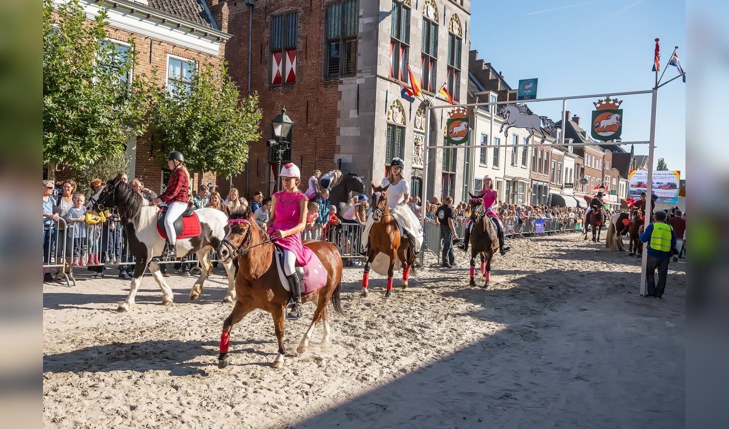 Paardenmarkt Vianen ringsteken