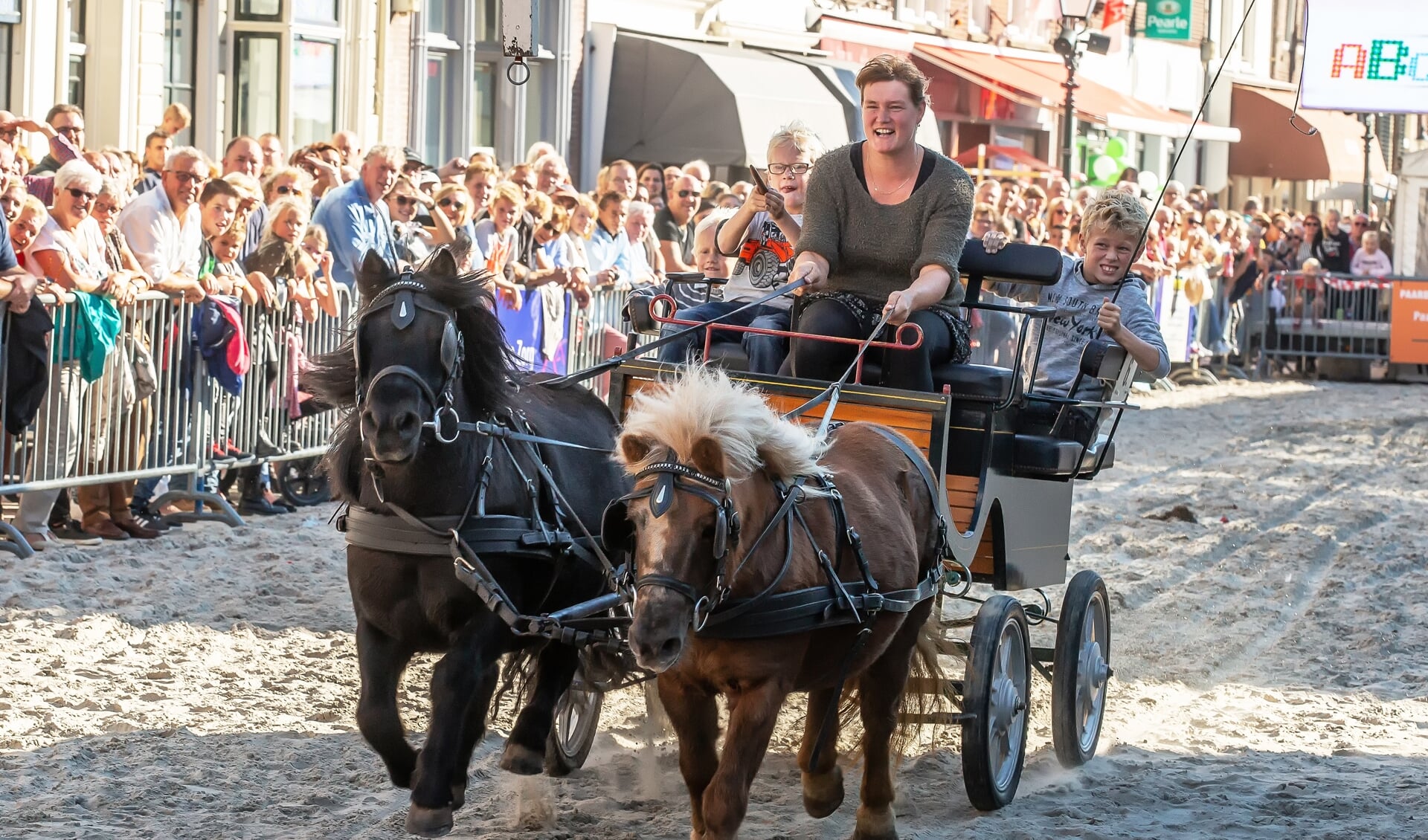 Paardenmarkt Vianen ringsteken