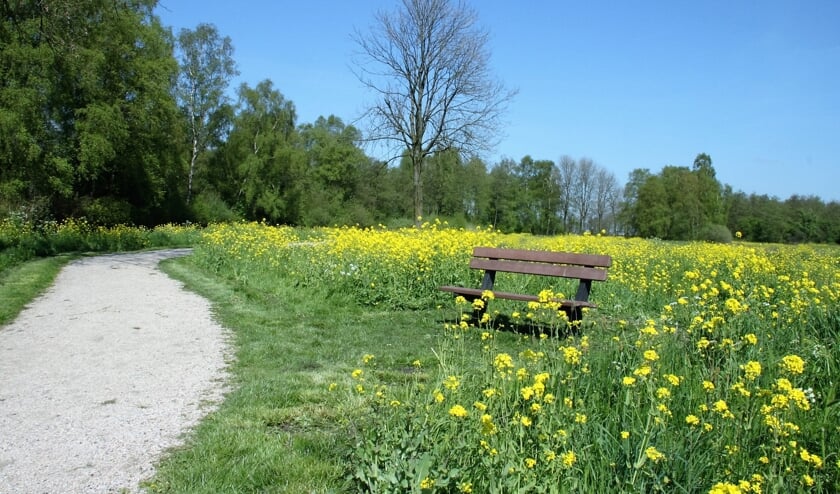 <p>• Het Loetbos is het decor van het stuk Midzomerbachtsdroom dat wordt opgevoerd. </p>