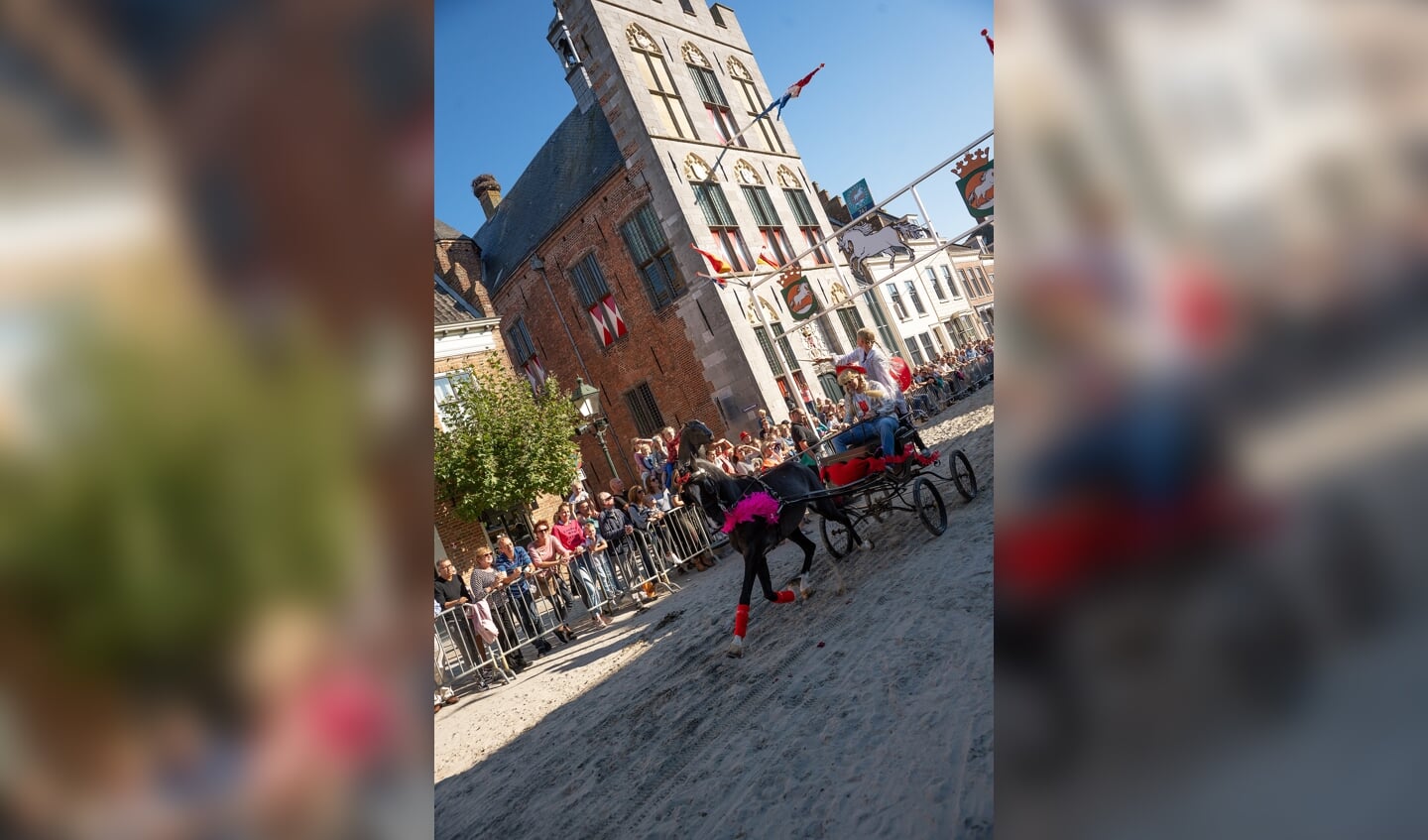 Paardenmarkt Vianen ringsteken