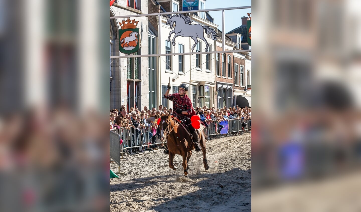 Paardenmarkt Vianen ringsteken