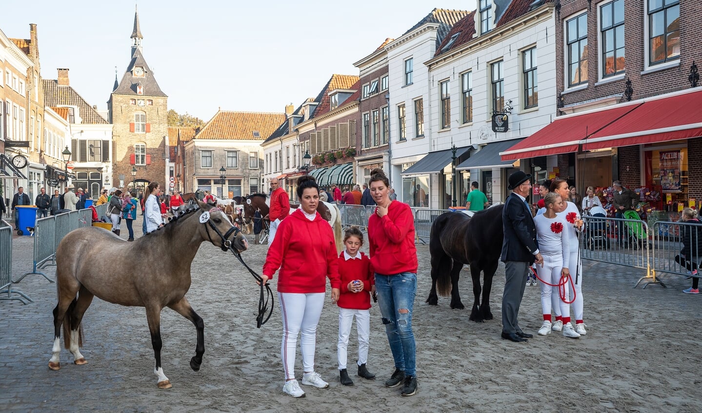 Paardenmarkt Vianen 2018