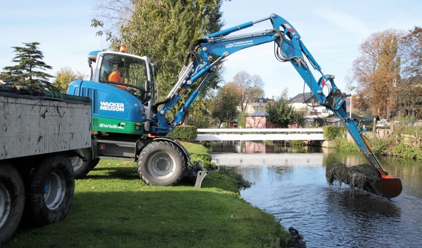 • Op vijf plekken gingen woensdag lokale waterplanten de sloot in.