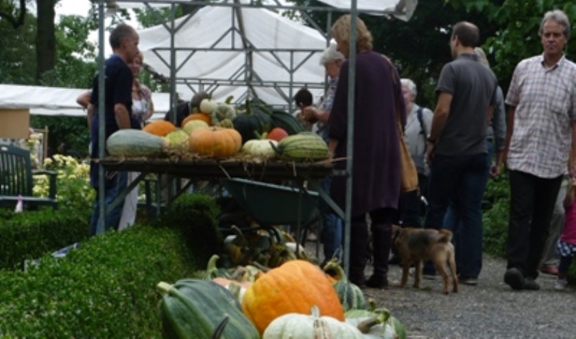 • De kasteeltuin is vooral bekend van de pompoenenmarkt.