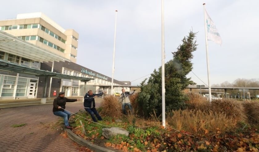 Dit jaar een grote kerstboom waar de 20.000 lampjes in worden gehangen.