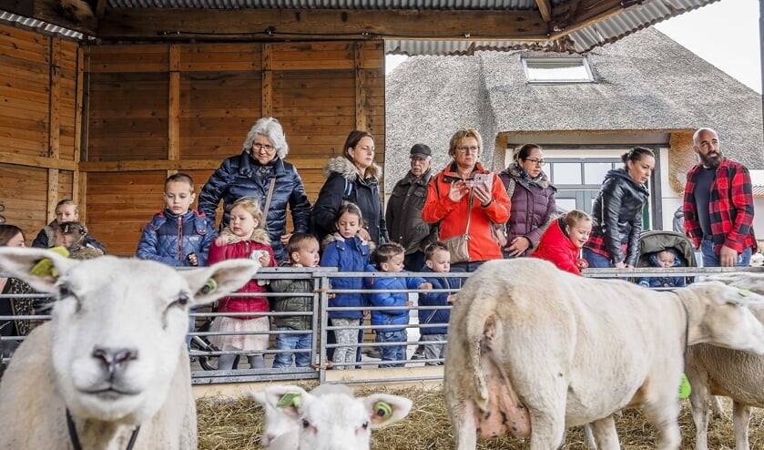 • Dit jaar geen lammetjesdagen bij kaasboerderij Hoogerwaard.