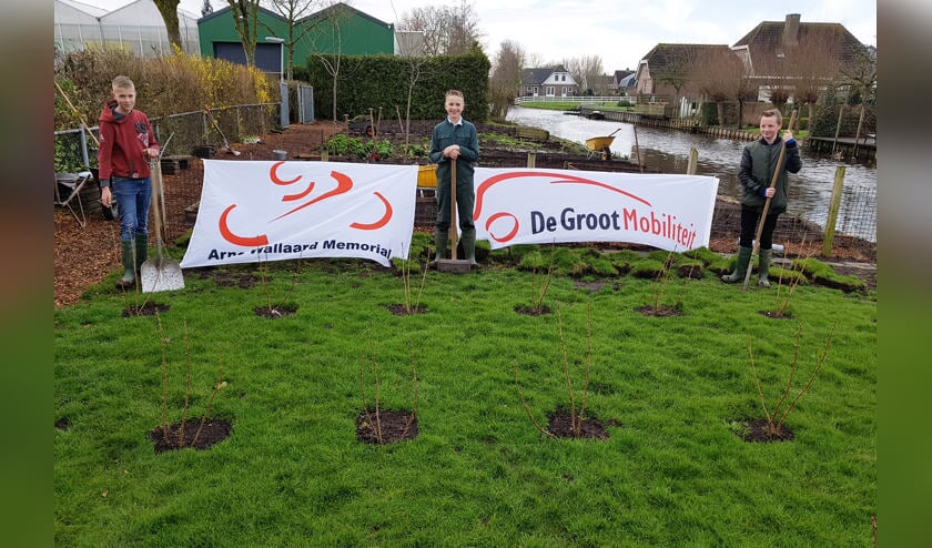 • De AWM kleurt groen.