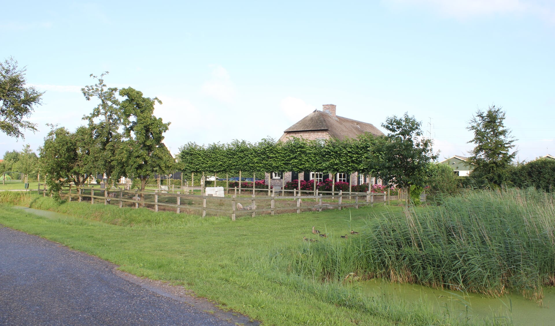 • De boerderij van Van der Schans aan de H.C. de Jonghweg in Rossum.