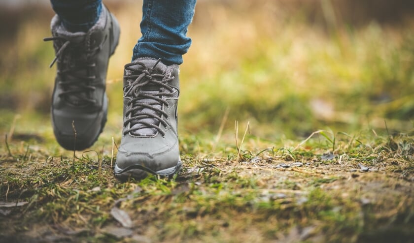 <p>GIGA Molenlanden organiseert coronaproof wandeling</p>