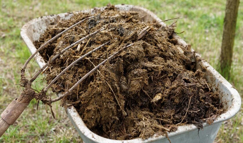 • Doordat regenwater van de mesthoop liep, kwamen meststoffen in de sloot terecht.