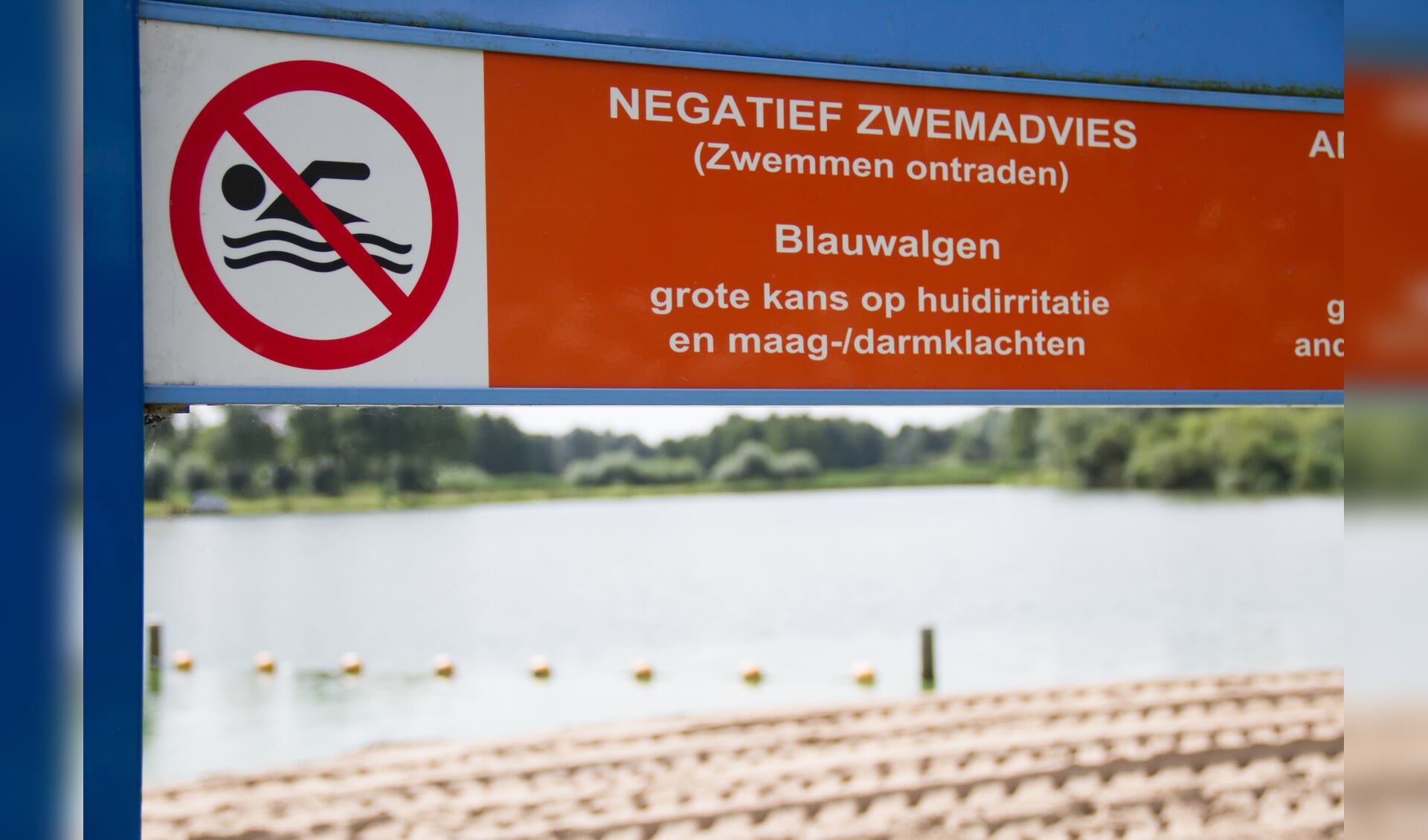 Negatief zwemadvies in de Slingelandse Plassen.