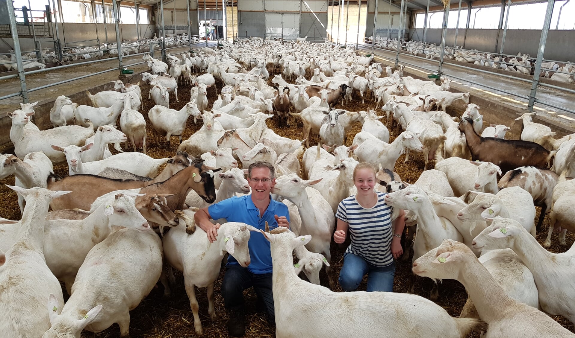 Oscar Combee en Berdine den Hartog in de stal met 650 geiten.