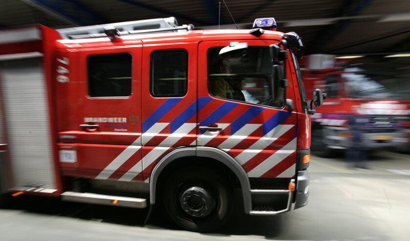 • De Lingewaalse brandweer haalde een koe uit het water.
