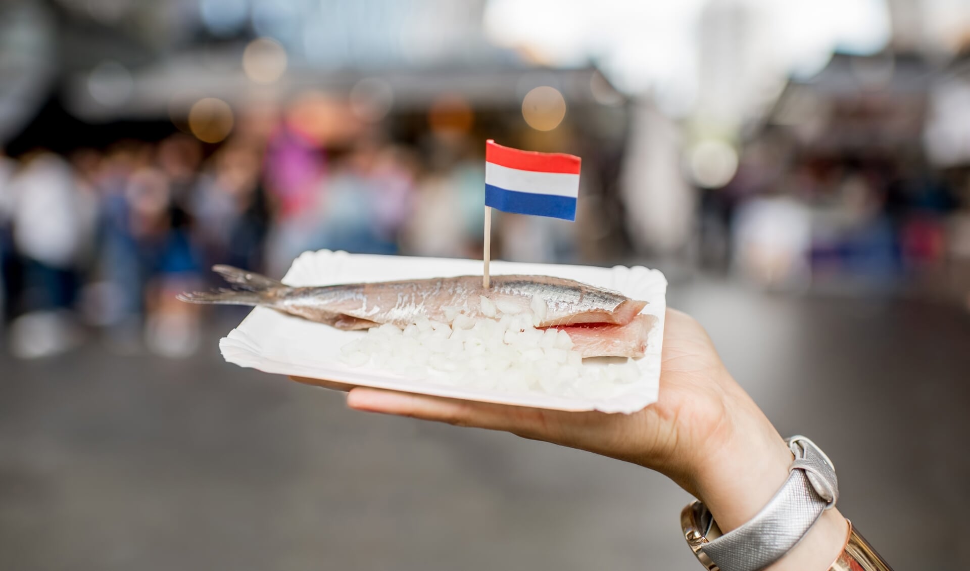 Holding herring with onions traditional dutch snack
