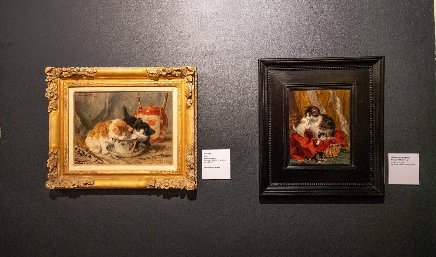 Midas Dekkers opent expositie 'Miauw', Katten in de kunst